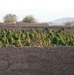 Checkpoint 64 in Kandahar province