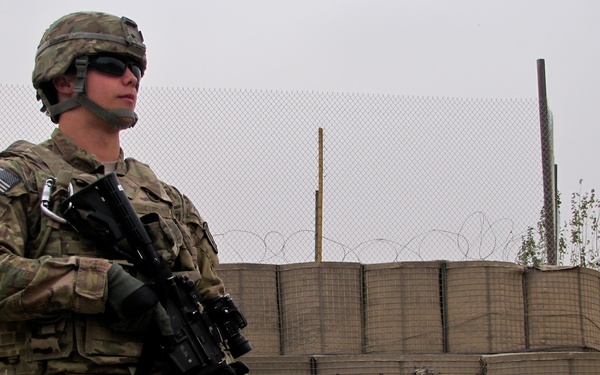 The brains behind the brawn