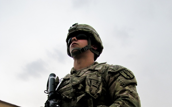 The brains behind the brawn