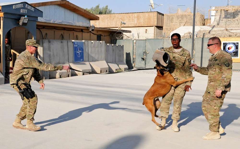 82d Airborne Division leadership participates in military working dog demonstration