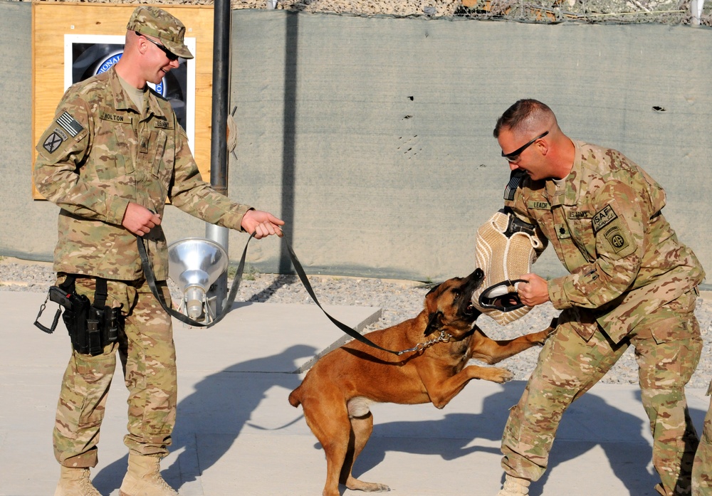 82nd Airborne Division leadership participates in military working dog demonstration