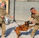 82nd Airborne Division leadership participates in military working dog demonstration