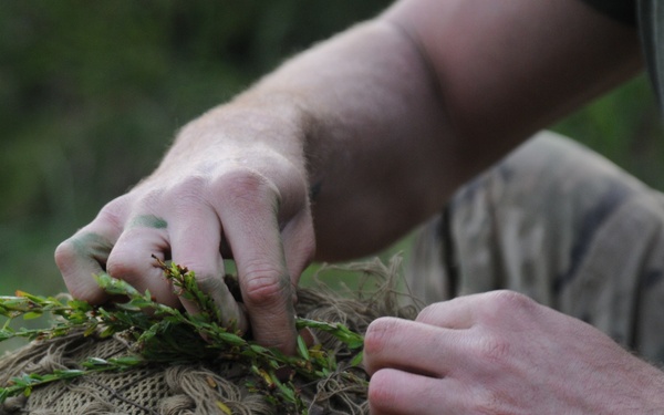 From PIGs to HOGs the Scout Sniper way