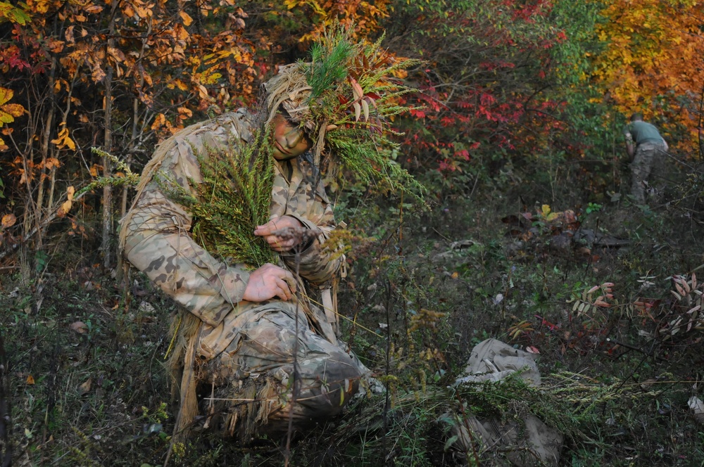 From PIGs to HOGs the Scout Sniper way