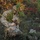 From PIGs to HOGs the Scout Sniper way