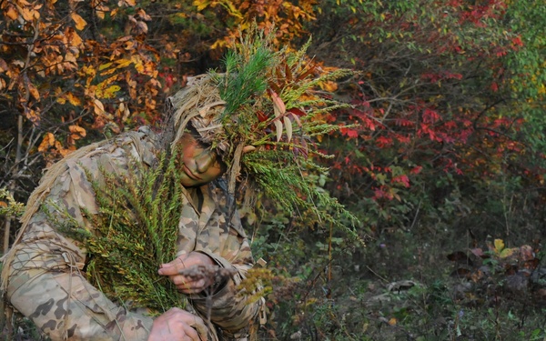 From PIGs to HOGs the Scout Sniper way