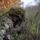 From PIGs to HOGs the Scout Sniper way