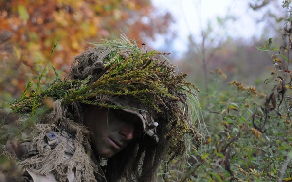 From PIGs to HOGs the Scout Sniper way