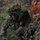 From PIGs to HOGs the Scout Sniper way