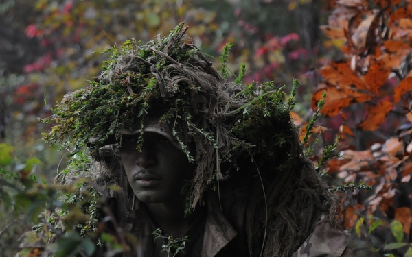 From PIGs to HOGs the Scout Sniper way