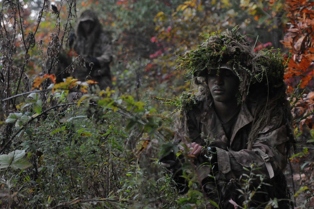 From PIGs to HOGs the Scout Sniper way