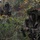 From PIGs to HOGs the Scout Sniper way