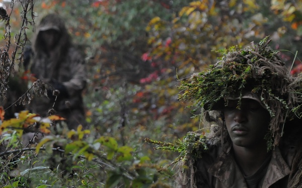 From PIGs to HOGs the Scout Sniper way
