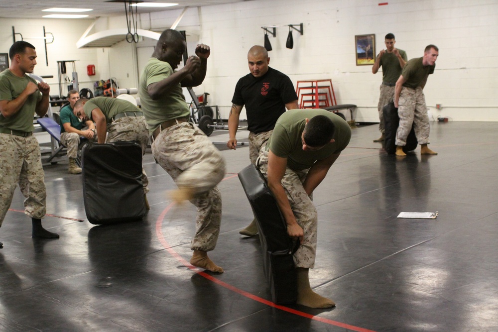 Marines earn MCMAP instructor tab