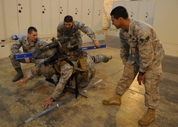 Airman’s spouse dedicates life to warfighter improvement