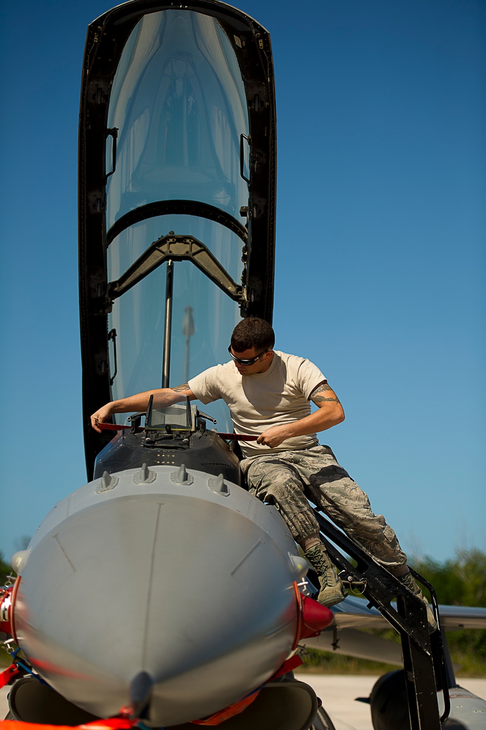 Vigilant Shield 12