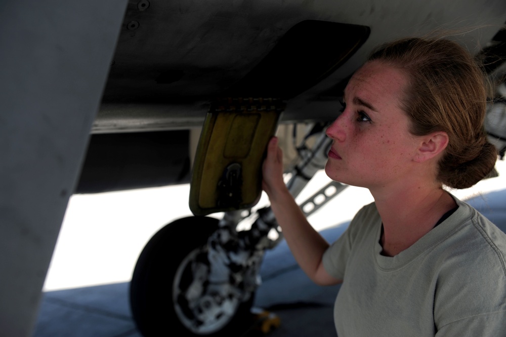 Exercise Vigilant Shield 12