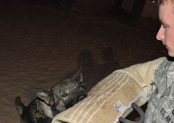 K-9 teams serve as force multiplier