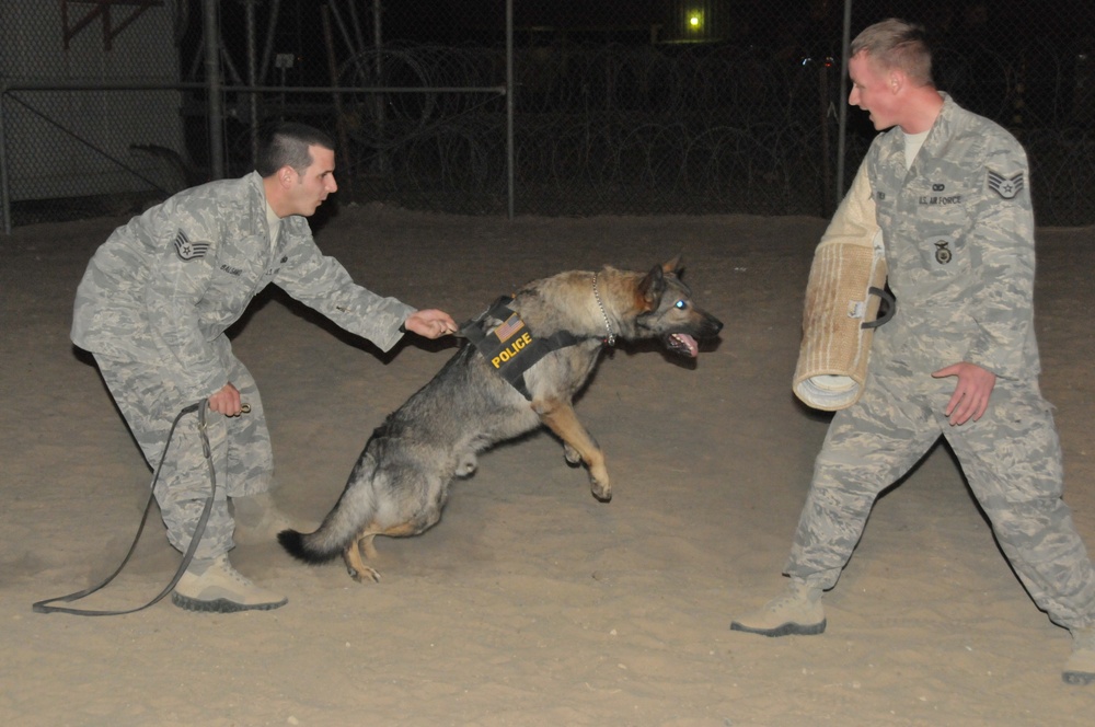 K-9 teams serve as force multiplier