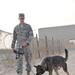 K-9 teams serve as force multiplier