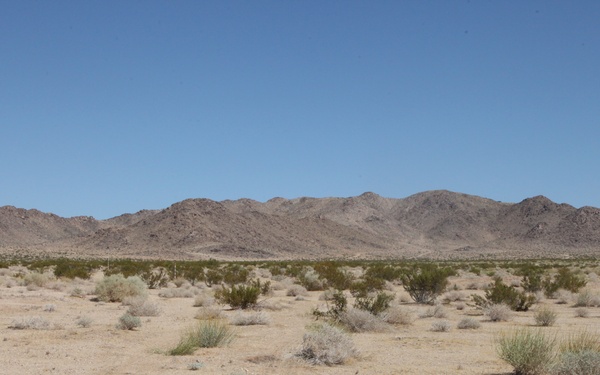 Shooting of a rare round