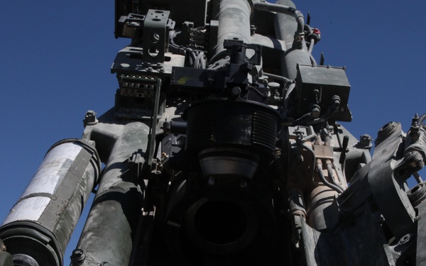 Shooting of a rare round