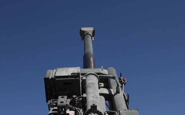 Shooting of a rare round