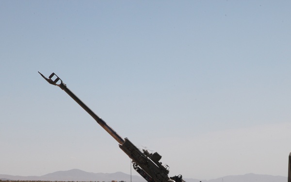 Shooting of a rare round