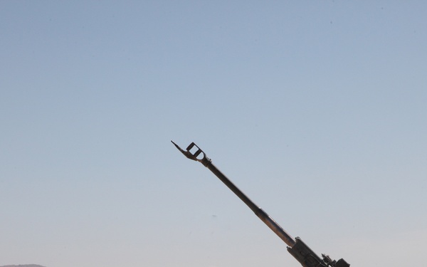 Shooting of a rare round