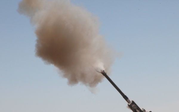 Shooting of a rare round