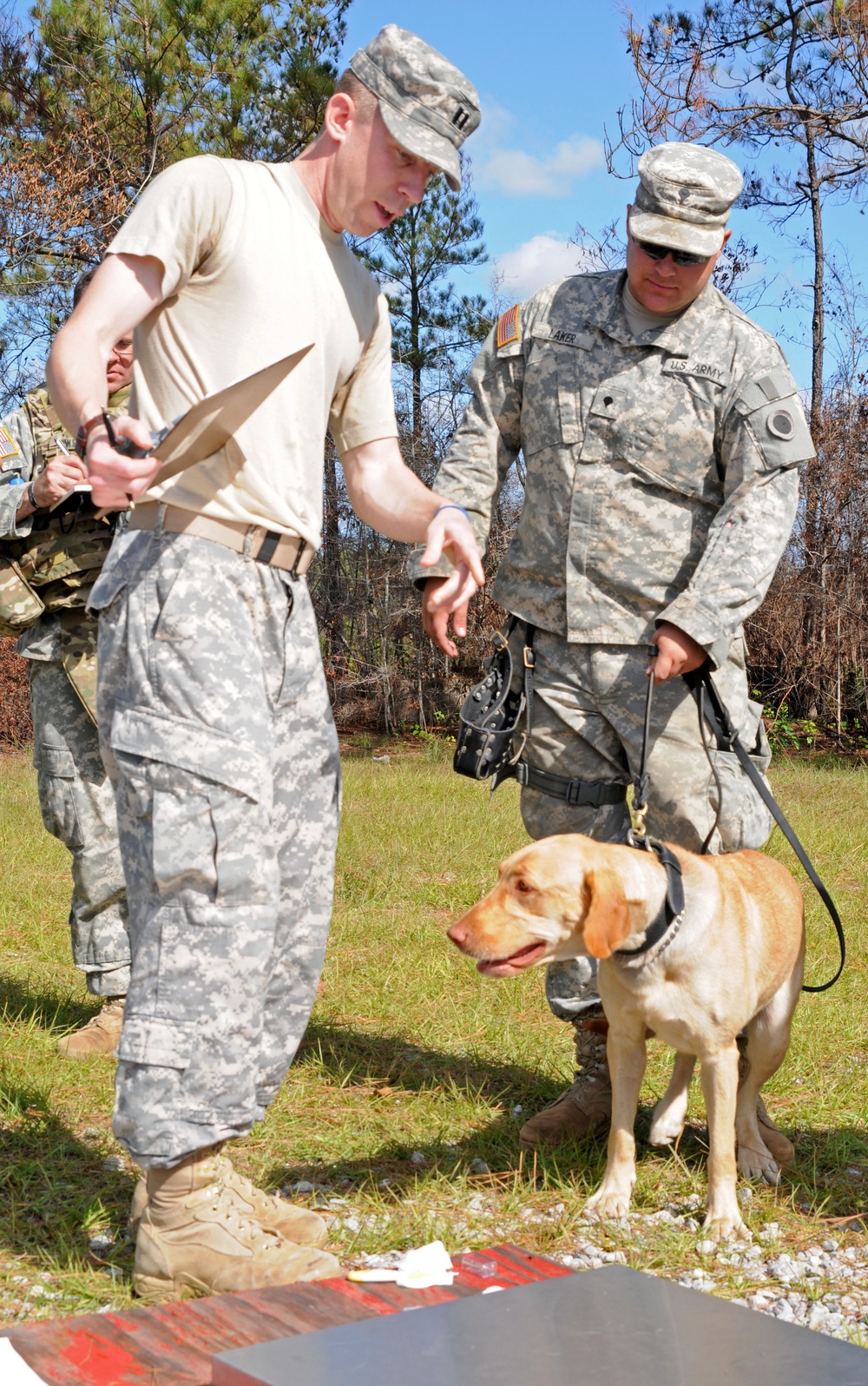 Two U.S. Army soldiers are engaged in a military working dog (MWD) training exercise outdoors. One soldier in a tan t-shirt and ACU pants appears to be directing or instructing, while a second soldier in full ACU uniform holds a yellow Labrador Retriever on a leash with a muzzle in hand. The dog appears to be focused on an object near a red-and-black platform on the ground, suggesting explosive detection or search training.