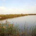 Soldiers enjoy desert fishing during deployment