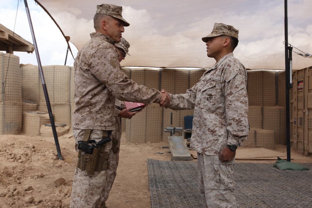 Brooklyn, New York native awarded medal for excellence