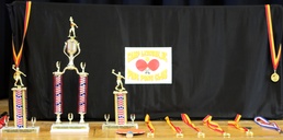 Ping pong tournament raises funds for USO