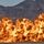 Nellis holds 2011 Aviation Nation Nellis holds 2011 Aviation Nation