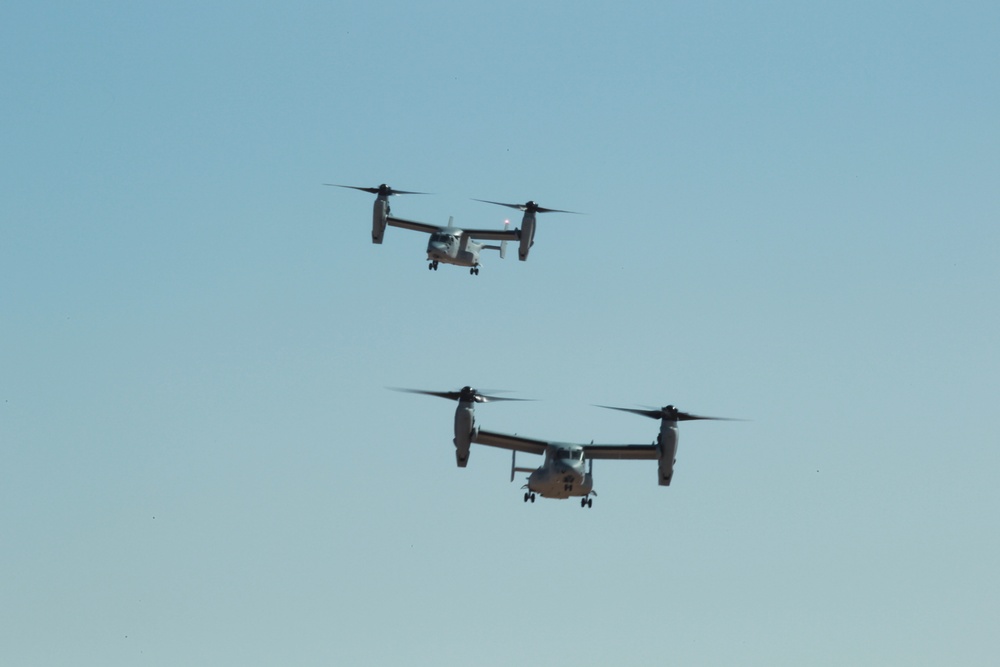 VMM-165 First SEC CAL/TACFORM