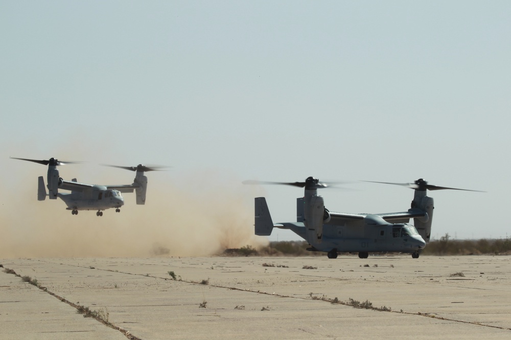 VMM-165 First SEC CAL/TACFORM