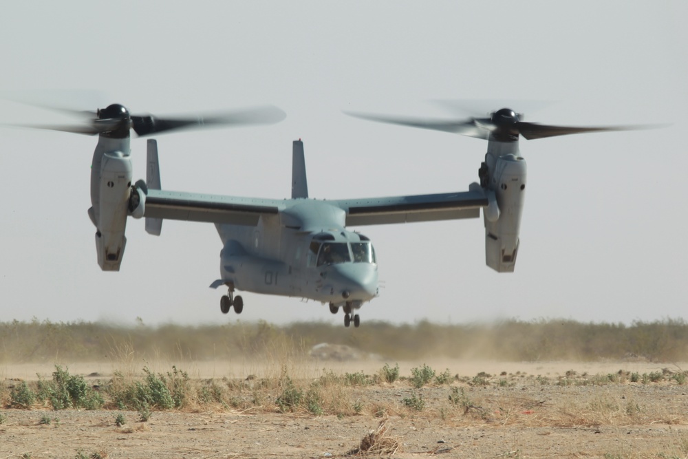 VMM-165 First SEC CAL/TACFORM