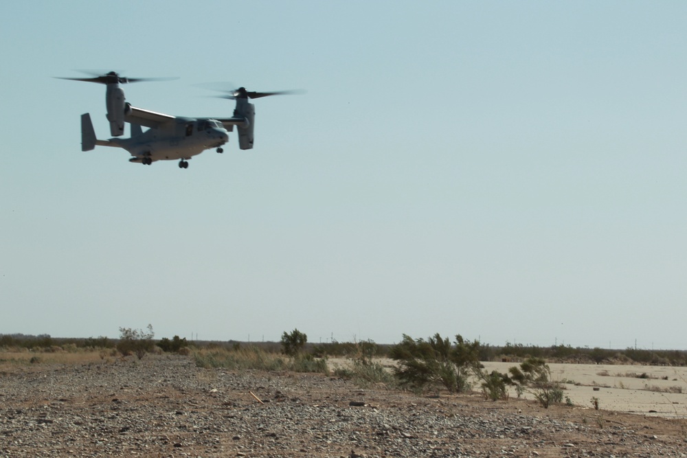 VMM-165 First SEC CAL/TACFORM