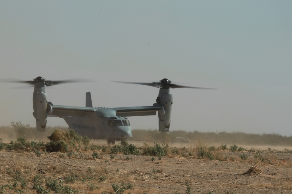 VMM-165 First SEC CAL/TACFORM