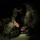 US Marines set up Austere Landing Zone