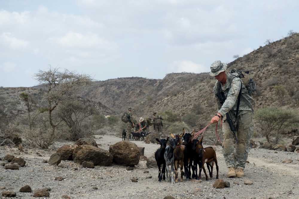 French and US service members survive the Djibouti Desert