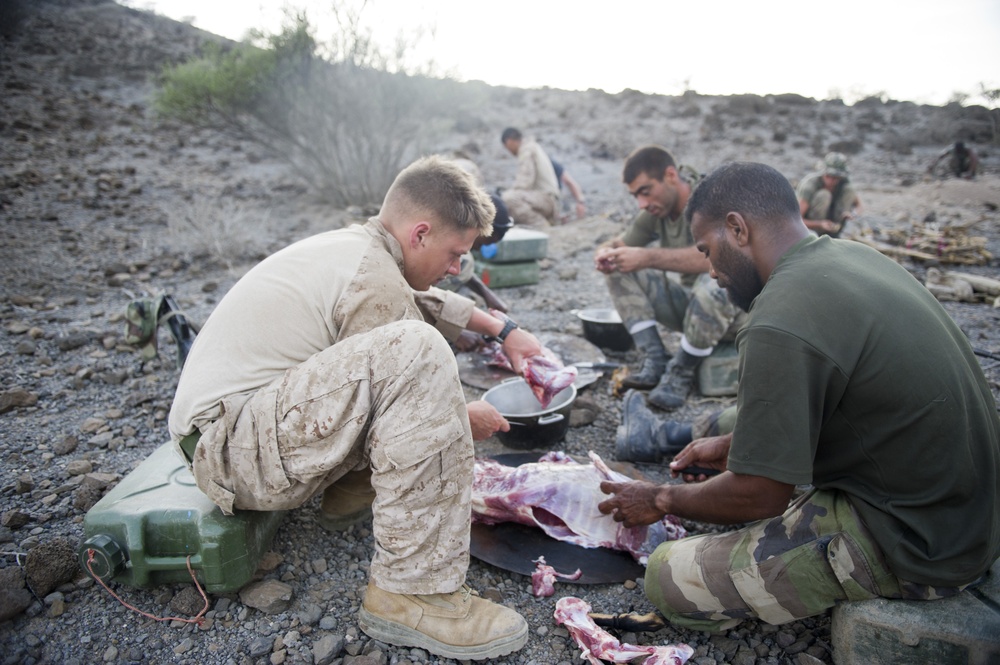 French and US service members survive the Djibouti Desert