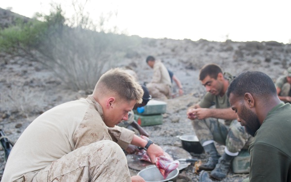 French, US service members undergo desert survival training