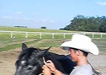 From the battle to the saddle: Soldier plans to continue training horses after Iraq