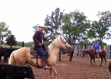 From the battle to the saddle: Soldier plans to continue training horses after Iraq