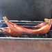 1-125 Veteran's Day pig roast