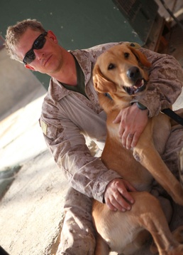 Victory in Nawa: the final chapter