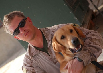 Victory in Nawa: the final chapter