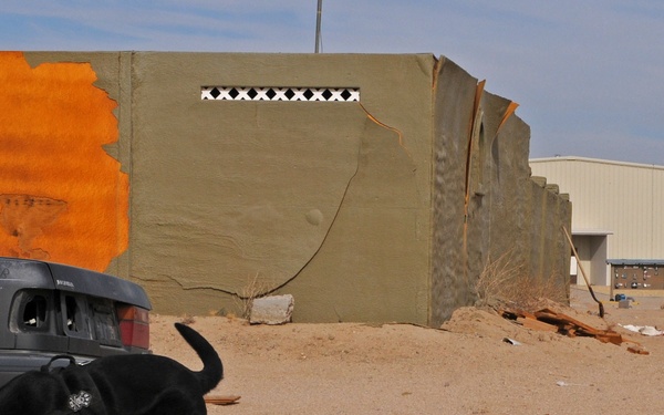 A military working dog, appearing to be a Rottweiler or similar breed, is actively sniffing around derelict vehicles near a weathered building in an arid desert environment. A soldier in ACU (Army Combat Uniform) camouflage is visible in the background observing the dog's activity. The setting appears to be a military training facility or mock urban environment, likely used for explosive detection or search exercises.
